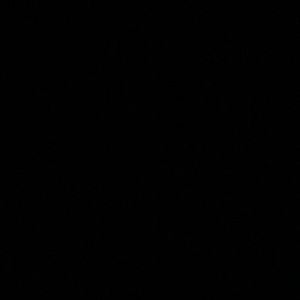 Meet your Posher, Alina